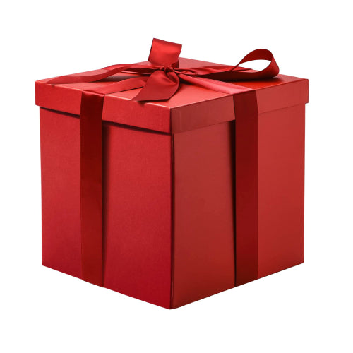 GIFT A MUSE 🎁💝